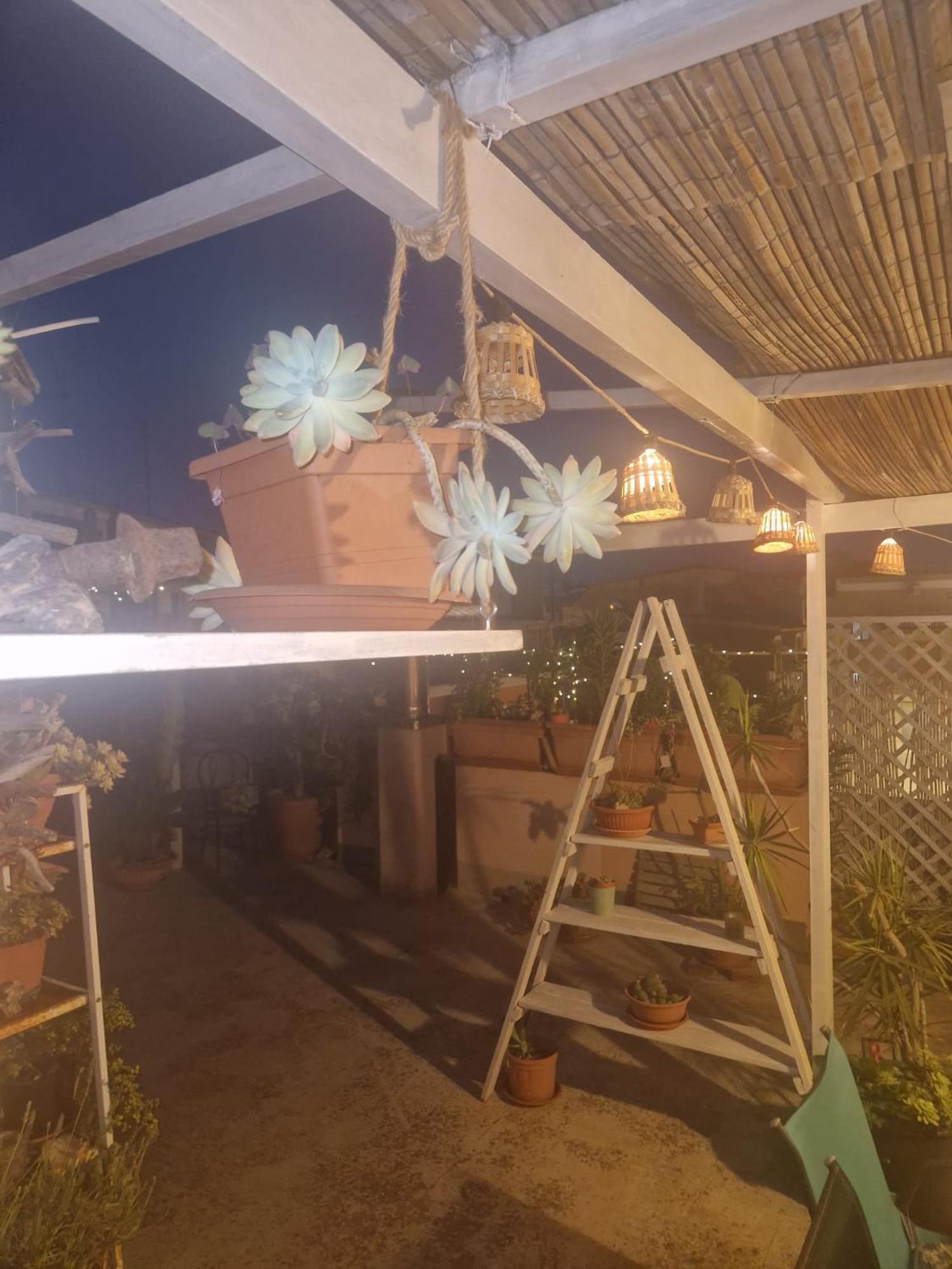La Casa Di Melina - Home Book & Green Lovely Terrace 帕基诺 外观 照片